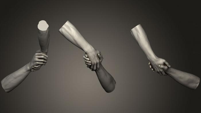 Anatomy of skeletons and skulls (ANTM_0846) 3D model for CNC machine